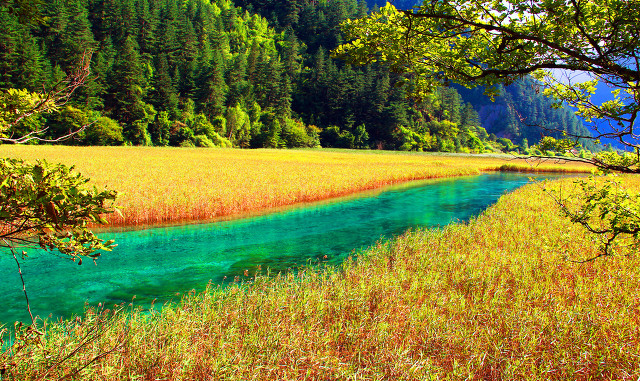 中(zhong)國(guo)20箇(ge)美豔絕倫的(de)景觀，你去過(guo)10箇(ge)就算旅遊達人(ren)啦