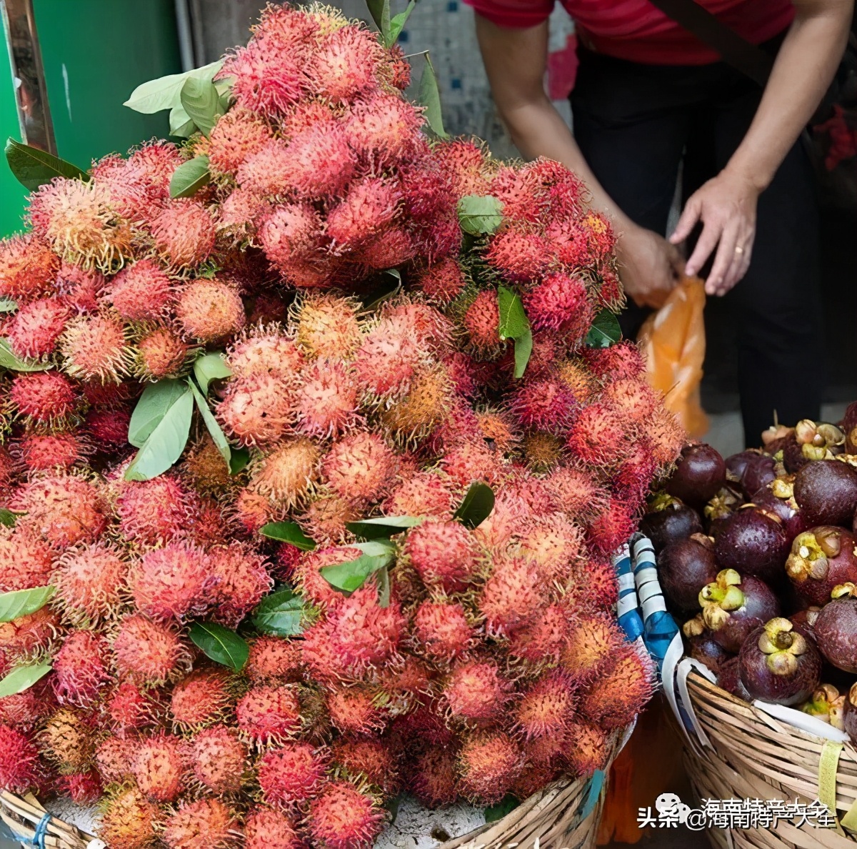 海南(nan)熱帶水果全介紹（第2篇）